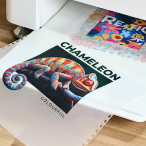 direct-to-film-heat-transfers